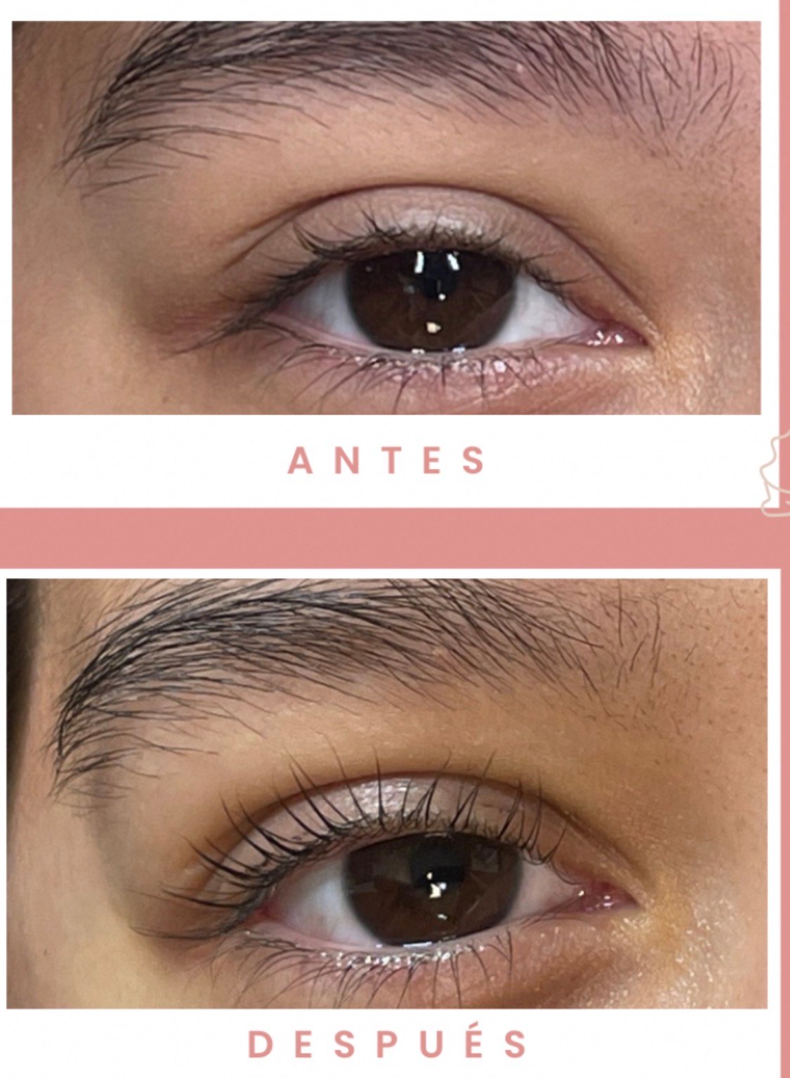 Lash Perm